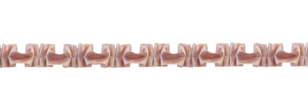 Ruche Raso Con Cucitura Centrale