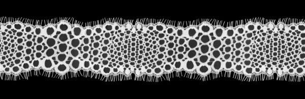 Pizzo Valencienne Nylon