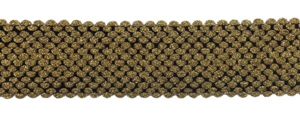 Fascia Elastica Lurex