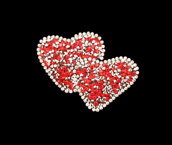 Applicazione Ricamata Termoadesiva