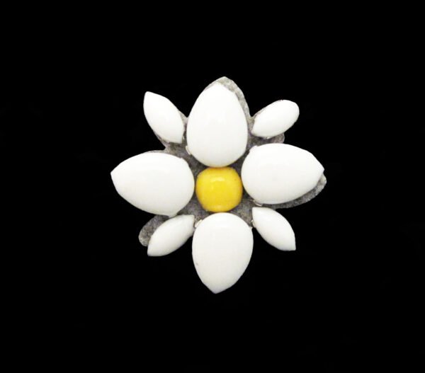 Applicazione Ricamata Termoadesiva