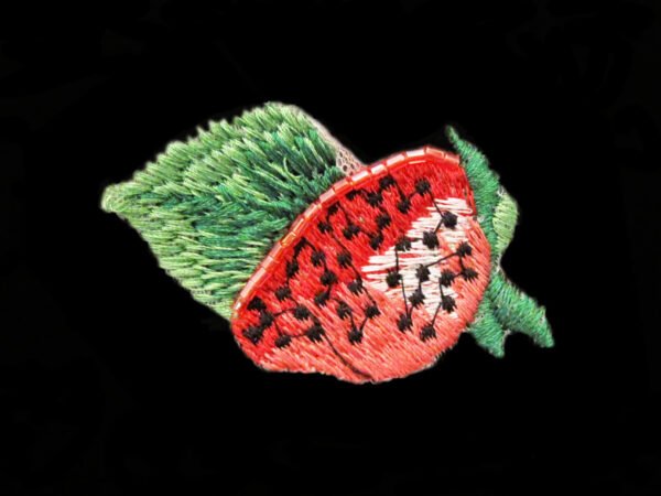 Applicazione Ricamata Termoadesiva