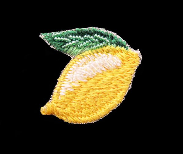 Applicazione Ricamata Termoadesiva