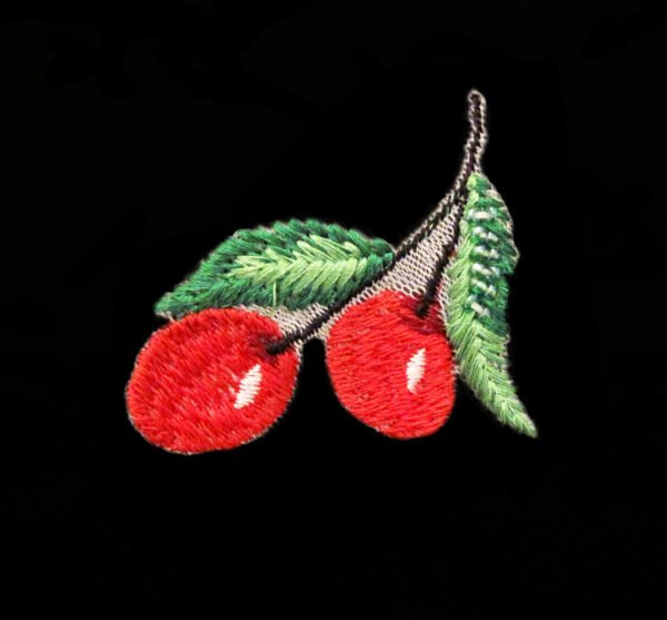 Applicazione Ricamata Termoadesiva