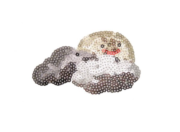 Applicazione Ricamata Termoadesiva