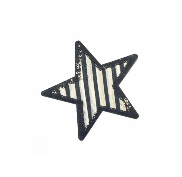 Applicazione Ricamata Termoadesiva