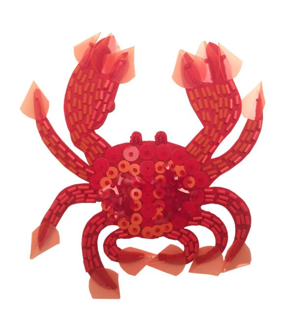 Applicazione Ricamata Termoadesiva