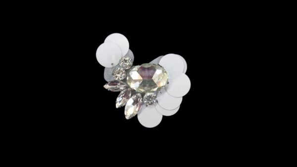 Applicazione Ricamata Termoadesiva